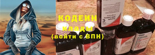 стаф Лабытнанги
