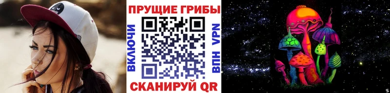 Галлюциногенные грибы Psilocybe  Юрга 