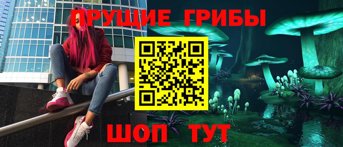 закладка  Галлюциногенные грибы GOLDEN TEACHER  Псилоцибиновые грибы Cubensis  Вход с VPN  Юрга 
