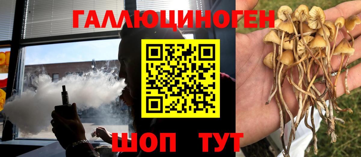 Галлюциногенные грибы Magic Shrooms Юрга