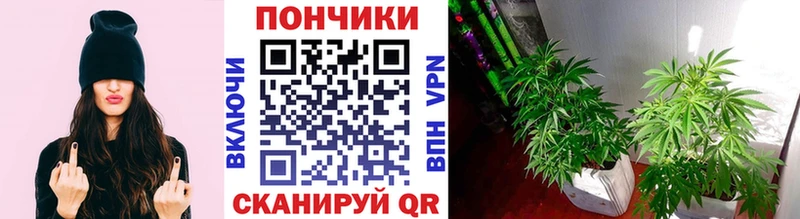 мориарти формула  Юрга  Бошки Шишки VHQ 